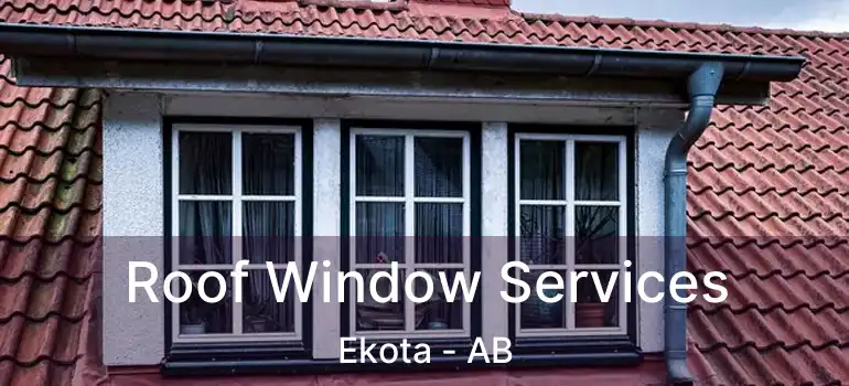  Roof Window Services Ekota - AB