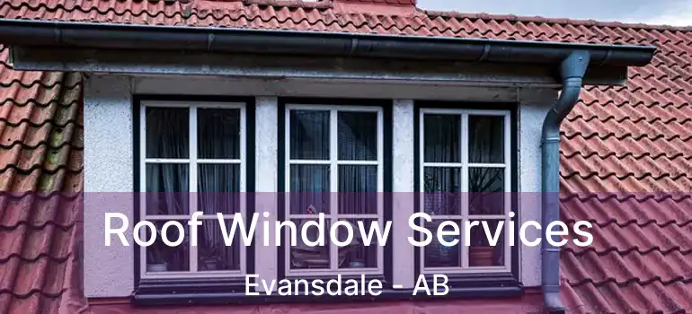  Roof Window Services Evansdale - AB