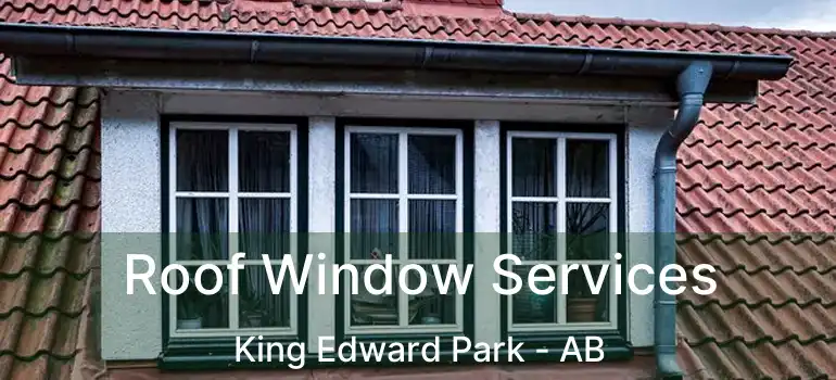  Roof Window Services King Edward Park - AB