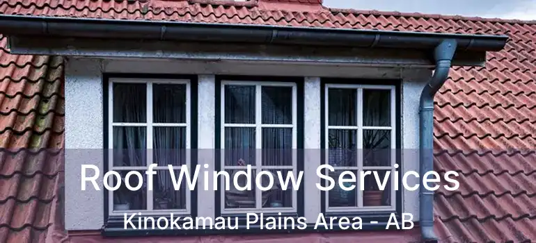  Roof Window Services Kinokamau Plains Area - AB