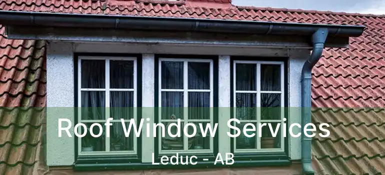  Roof Window Services Leduc - AB