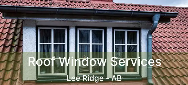  Roof Window Services Lee Ridge - AB
