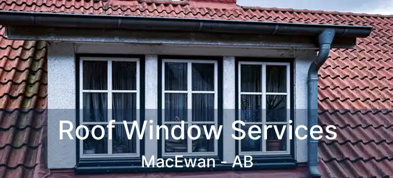  Roof Window Services MacEwan - AB