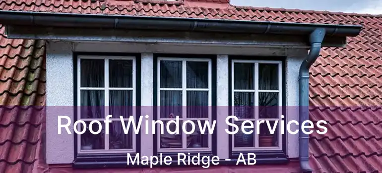  Roof Window Services Maple Ridge - AB