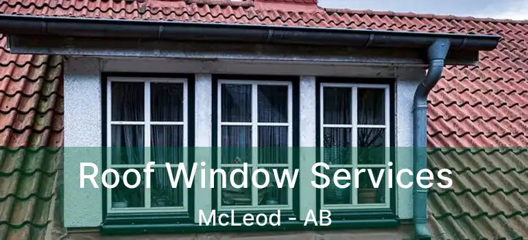  Roof Window Services McLeod - AB