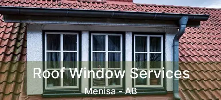  Roof Window Services Menisa - AB