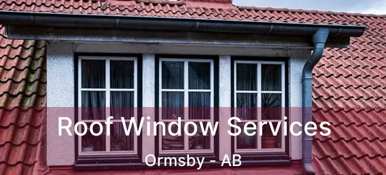  Roof Window Services Ormsby - AB