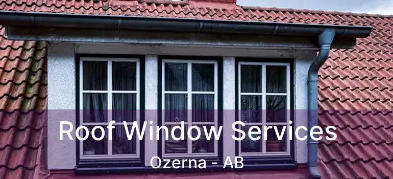  Roof Window Services Ozerna - AB