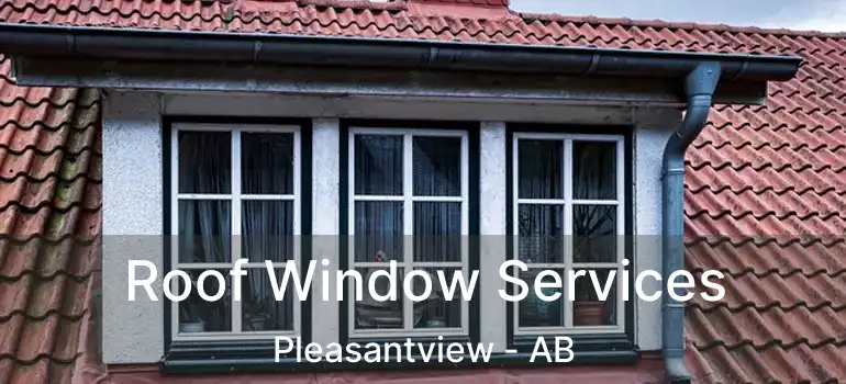  Roof Window Services Pleasantview - AB