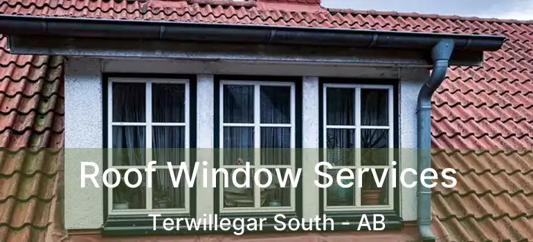  Roof Window Services Terwillegar South - AB