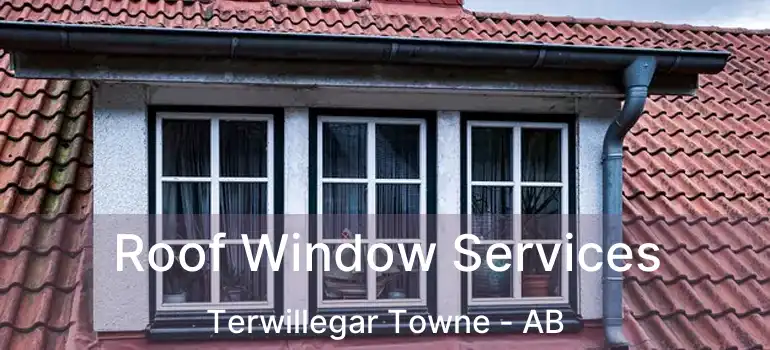  Roof Window Services Terwillegar Towne - AB
