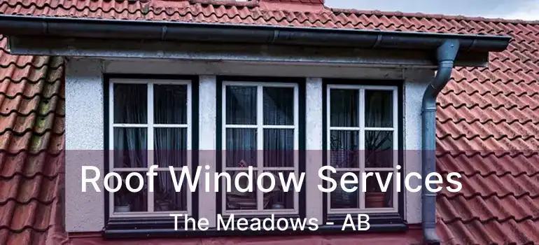  Roof Window Services The Meadows - AB