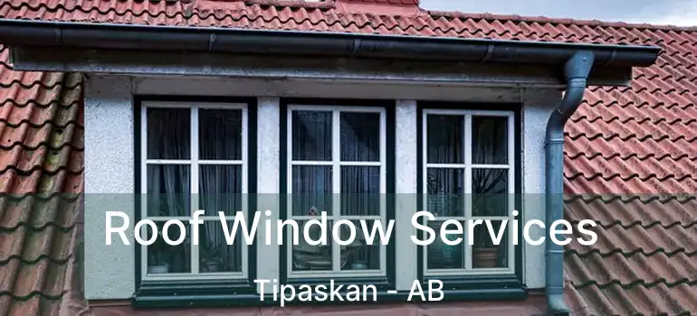  Roof Window Services Tipaskan - AB