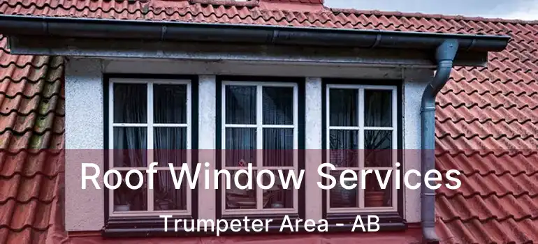  Roof Window Services Trumpeter Area - AB