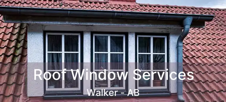 Roof Window Services Walker - AB