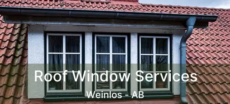  Roof Window Services Weinlos - AB