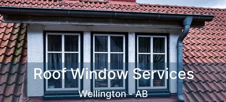  Roof Window Services Wellington - AB