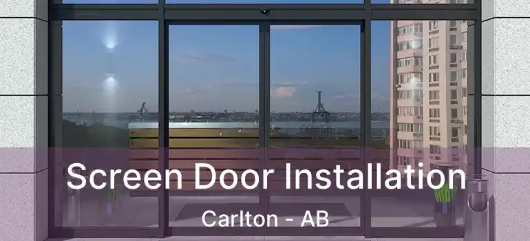  Screen Door Installation Carlton - AB