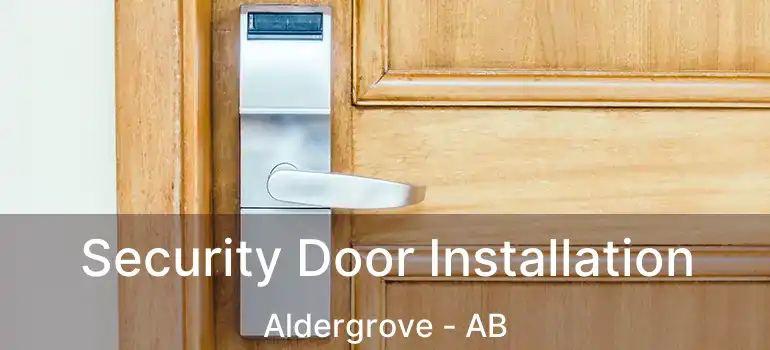  Security Door Installation Aldergrove - AB