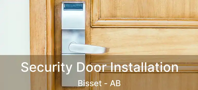  Security Door Installation Bisset - AB