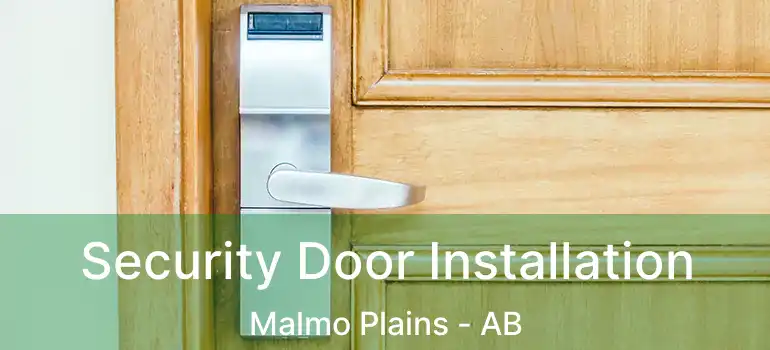  Security Door Installation Malmo Plains - AB