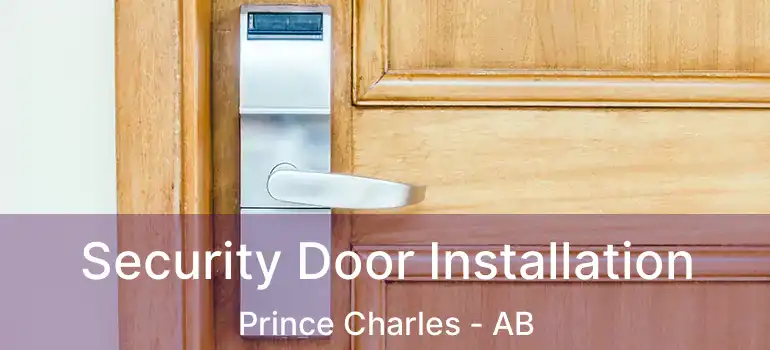  Security Door Installation Prince Charles - AB