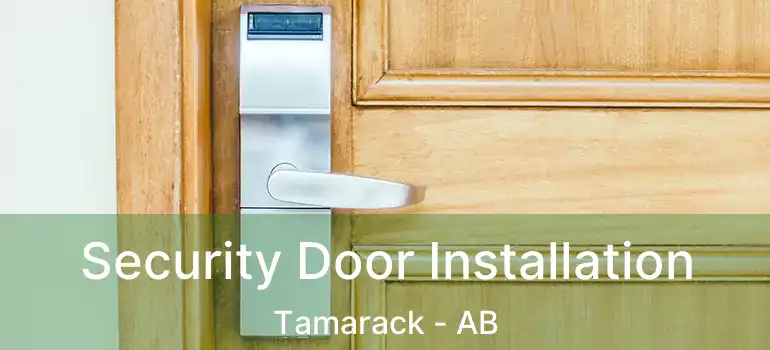  Security Door Installation Tamarack - AB