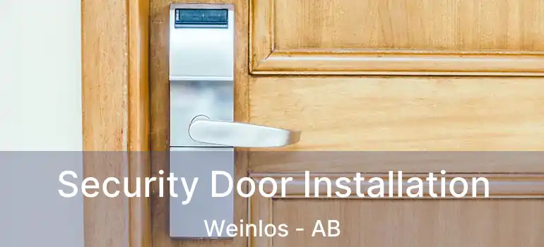  Security Door Installation Weinlos - AB