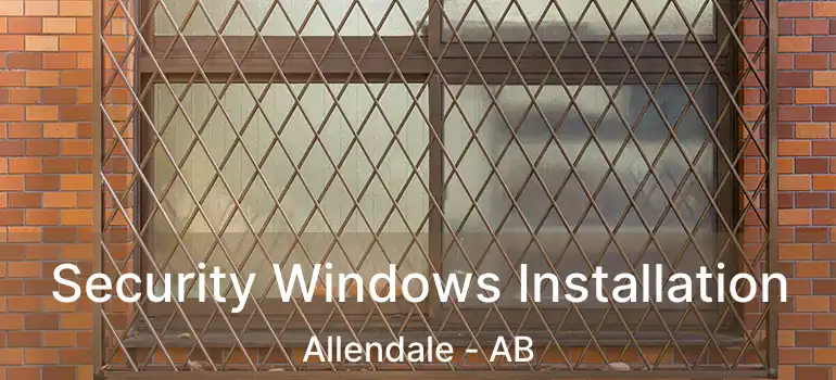  Security Windows Installation Allendale - AB
