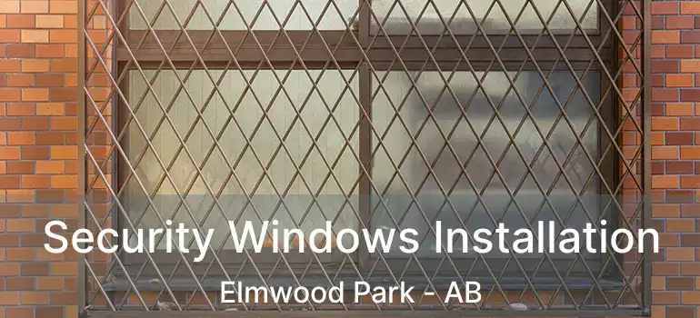 Security Windows Installation Elmwood Park - AB