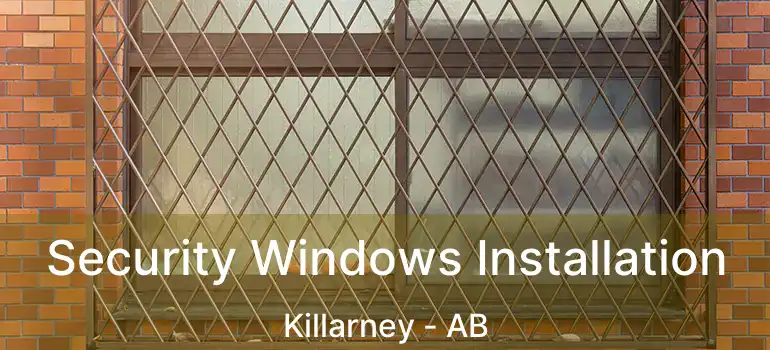  Security Windows Installation Killarney - AB