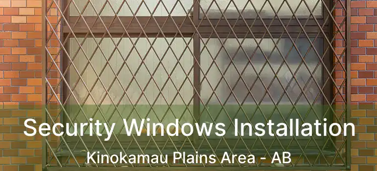  Security Windows Installation Kinokamau Plains Area - AB