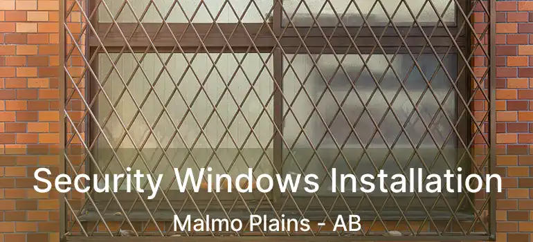  Security Windows Installation Malmo Plains - AB