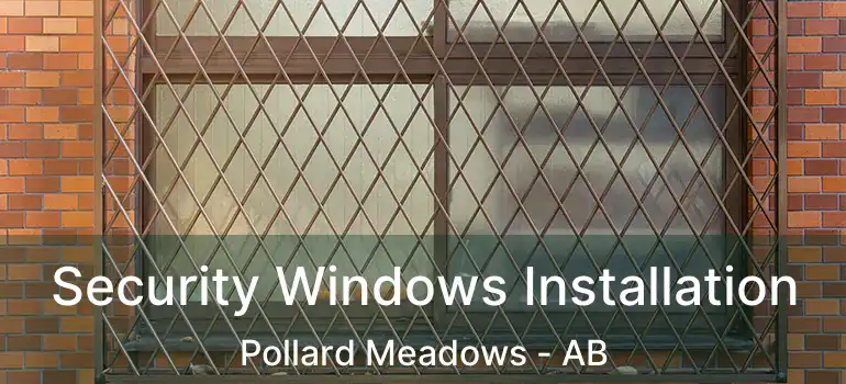  Security Windows Installation Pollard Meadows - AB
