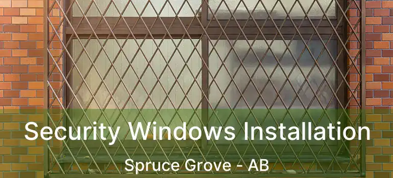  Security Windows Installation Spruce Grove - AB