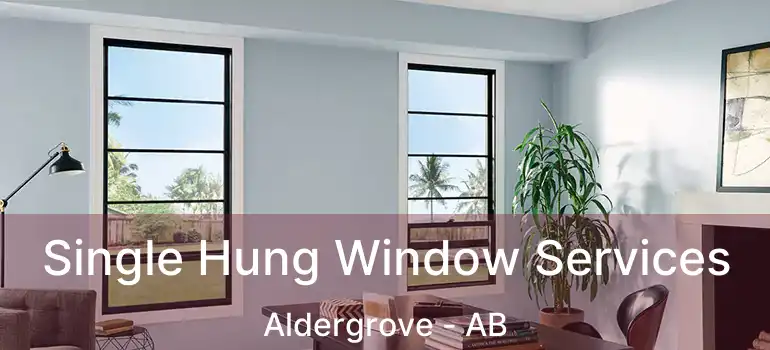  Single Hung Window Services Aldergrove - AB