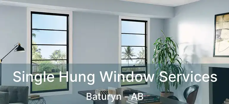  Single Hung Window Services Baturyn - AB