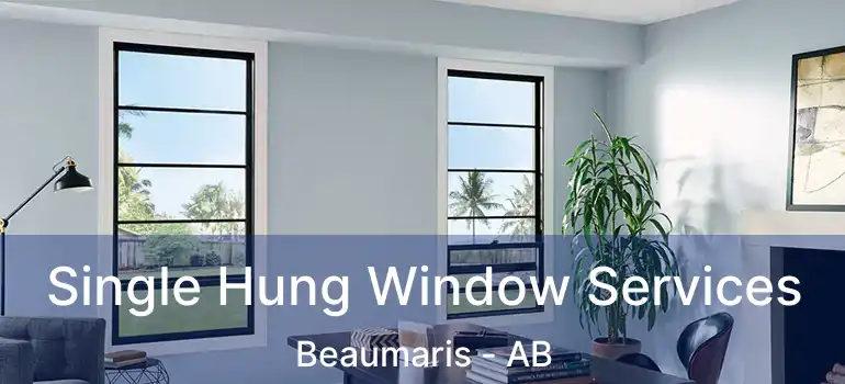  Single Hung Window Services Beaumaris - AB