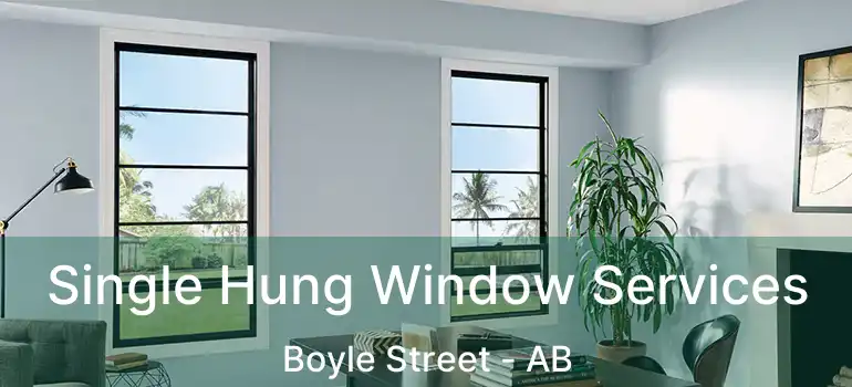  Single Hung Window Services Boyle Street - AB