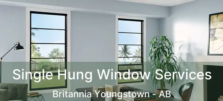  Single Hung Window Services Britannia Youngstown - AB