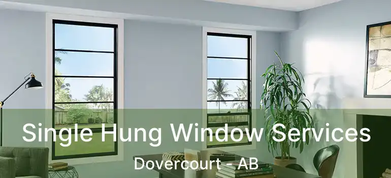  Single Hung Window Services Dovercourt - AB