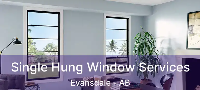  Single Hung Window Services Evansdale - AB