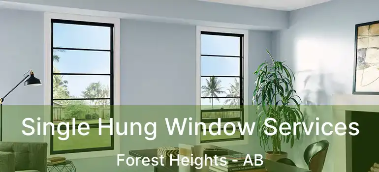  Single Hung Window Services Forest Heights - AB