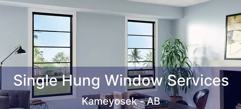  Single Hung Window Services Kameyosek - AB