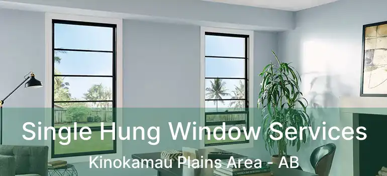  Single Hung Window Services Kinokamau Plains Area - AB