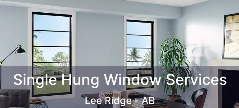  Single Hung Window Services Lee Ridge - AB