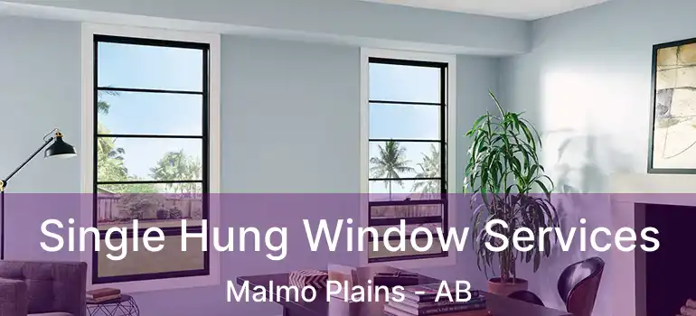  Single Hung Window Services Malmo Plains - AB