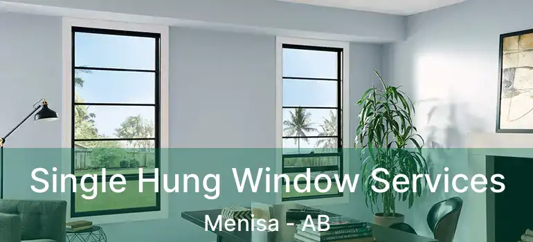  Single Hung Window Services Menisa - AB