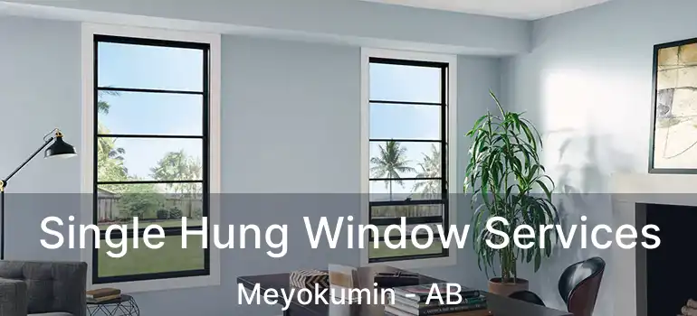  Single Hung Window Services Meyokumin - AB