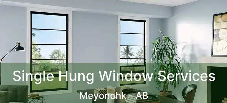  Single Hung Window Services Meyonohk - AB